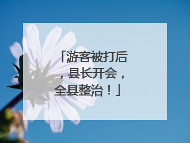 游客被打后，县长开会，全县整治！