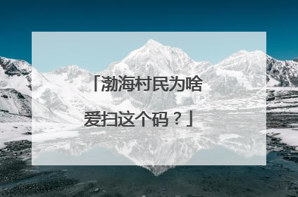 渤海村民为啥爱扫这个码？