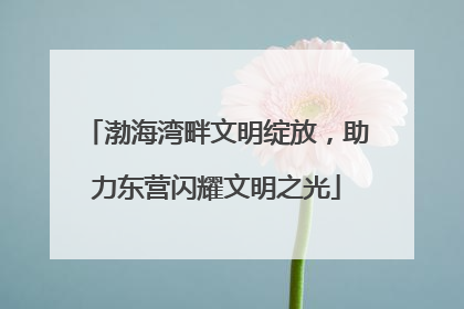 渤海湾畔文明绽放，助力东营闪耀文明之光