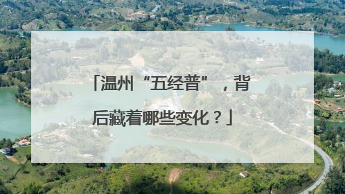 温州“五经普”，背后藏着哪些变化？