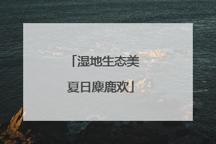 湿地生态美 夏日麋鹿欢