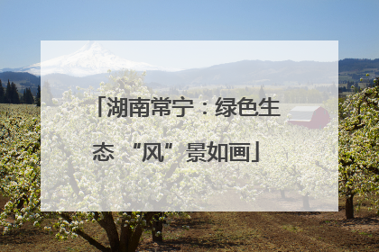 湖南常宁：绿色生态 “风”景如画