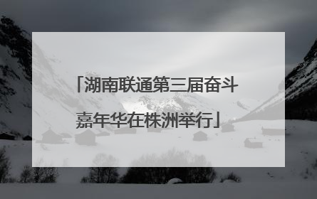 湖南联通第三届奋斗嘉年华在株洲举行