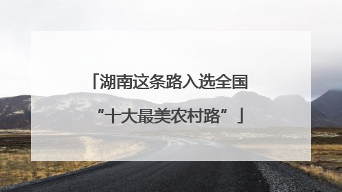 湖南这条路入选全国“十大最美农村路”