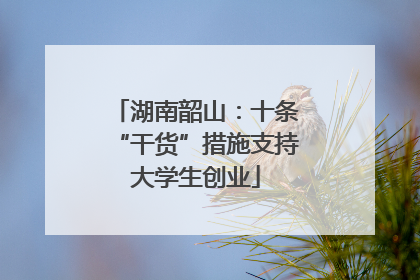 湖南韶山：十条“干货”措施支持大学生创业