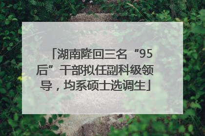 湖南隆回三名“95后”干部拟任副科级领导，均系硕士选调生