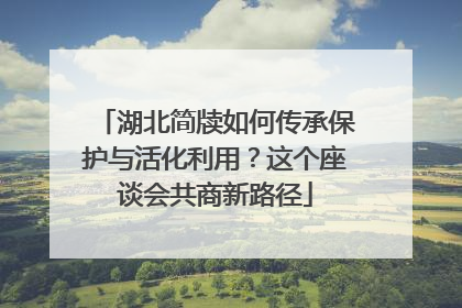 湖北简牍如何传承保护与活化利用？这个座谈会共商新路径