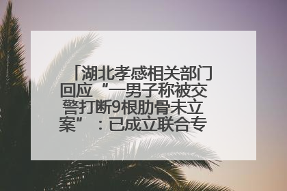 湖北孝感相关部门回应“一男子称被交警打断9根肋骨未立案”：已成立联合专班开展工作
