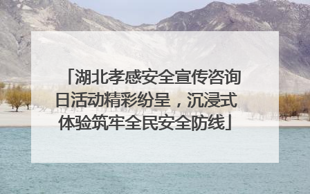 湖北孝感安全宣传咨询日活动精彩纷呈，沉浸式体验筑牢全民安全防线