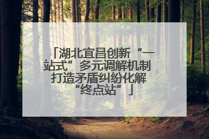 湖北宜昌创新“一站式”多元调解机制 打造矛盾纠纷化解“终点站”