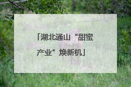 湖北通山“甜蜜产业”焕新机