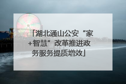 湖北通山公安“家+智慧”改革推进政务服务提质增效