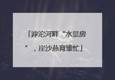 滹沱河畔“水景房”，崖沙燕育雏忙