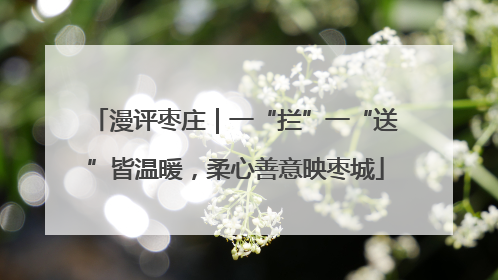 漫评枣庄｜一“拦”一“送”皆温暖，柔心善意映枣城