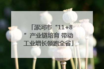 漯河市“11+8”产业链培育 带动工业增长领跑全省