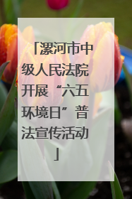 漯河市中级人民法院开展“六五环境日”普法宣传活动