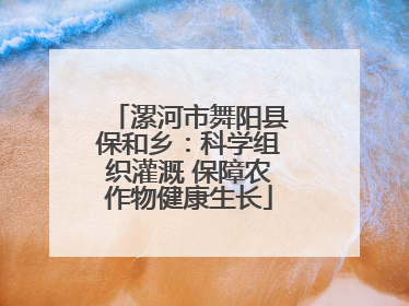 漯河市舞阳县保和乡：科学组织灌溉 保障农作物健康生长