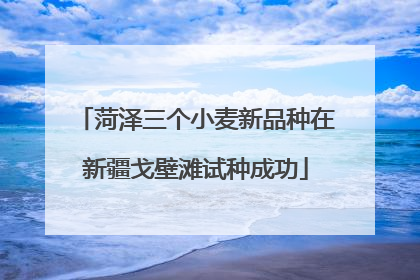 菏泽三个小麦新品种在新疆戈壁滩试种成功