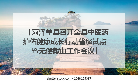 菏泽单县召开全县中医药护佑健康成长行动省级试点暨无偿献血工作会议