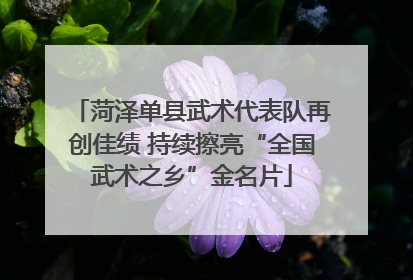 菏泽单县武术代表队再创佳绩 持续擦亮“全国武术之乡”金名片