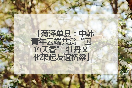 菏泽单县：中韩青年云端共赏“国色天香” 牡丹文化架起友谊桥梁