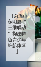 菏泽市东明县“三维联动”构建特色青少年护航体系