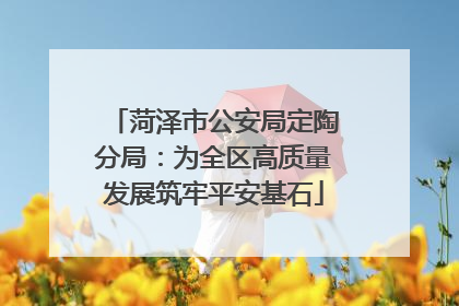 菏泽市公安局定陶分局：为全区高质量发展筑牢平安基石