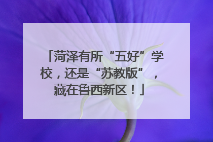 菏泽有所“五好”学校，还是“苏教版”，藏在鲁西新区！