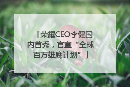 荣耀CEO李健国内首秀，官宣“全球百万雄鹰计划”