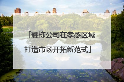 耀栋公司在孝感区域打造市场开拓新范式