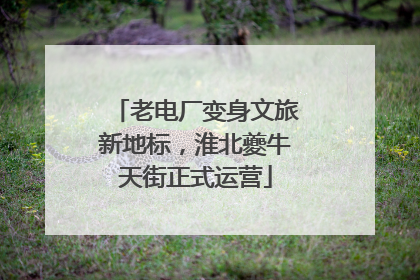 老电厂变身文旅新地标，淮北夔牛天街正式运营