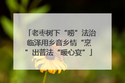 老枣树下“唠”法治 临泽用乡音乡情“烹”出普法“暖心宴”