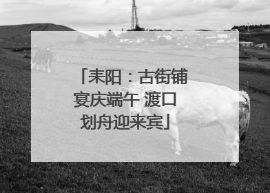 耒阳：古街铺宴庆端午 渡口划舟迎来宾