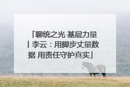 聊统之光 基层力量丨李云：用脚步丈量数据 用责任守护真实