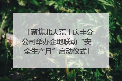 聚焦北大荒丨庆丰分公司举办企地联动“安全生产月”启动仪式