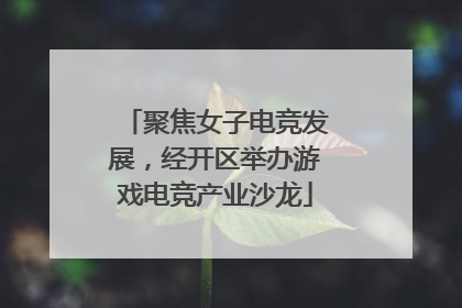 聚焦女子电竞发展，经开区举办游戏电竞产业沙龙