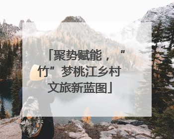 聚势赋能，“竹”梦桃江乡村文旅新蓝图