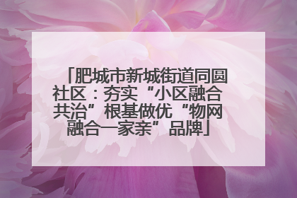 肥城市新城街道同圆社区：夯实“小区融合共治”根基做优“物网融合一家亲”品牌