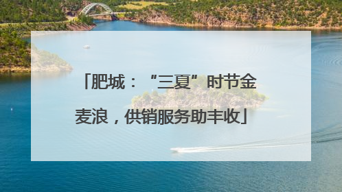 肥城：“三夏”时节金麦浪，供销服务助丰收