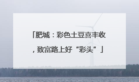肥城：彩色土豆喜丰收，致富路上好“彩头”
