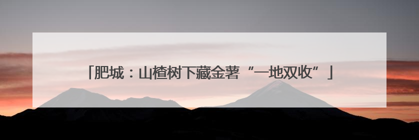 肥城：山楂树下藏金薯“一地双收”
