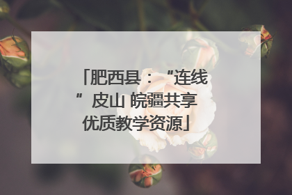 肥西县：“连线”皮山 皖疆共享优质教学资源