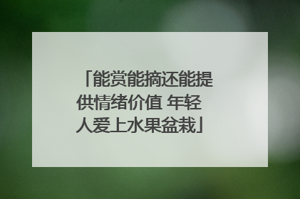 能赏能摘还能提供情绪价值 年轻人爱上水果盆栽