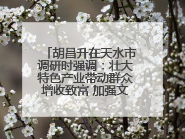 胡昌升在天水市调研时强调：壮大特色产业带动群众增收致富 加强文物保护推动文化创新发展