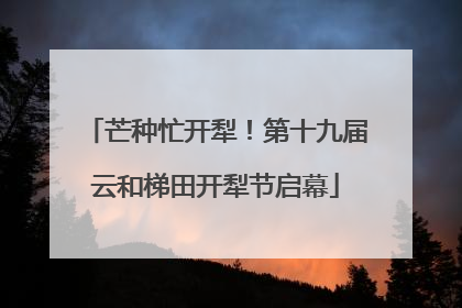 芒种忙开犁！第十九届云和梯田开犁节启幕