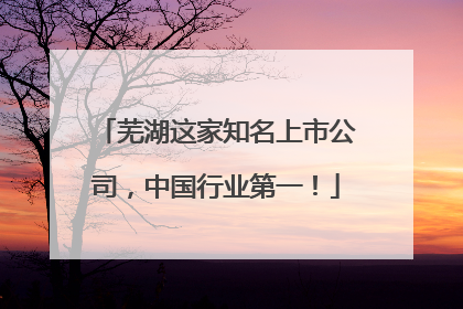 芜湖这家知名上市公司，中国行业第一！