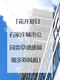 花开夏日 石家庄城市公园萱草盛放展现多彩风貌