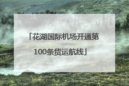 花湖国际机场开通第100条货运航线
