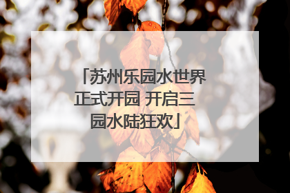 苏州乐园水世界正式开园 开启三园水陆狂欢