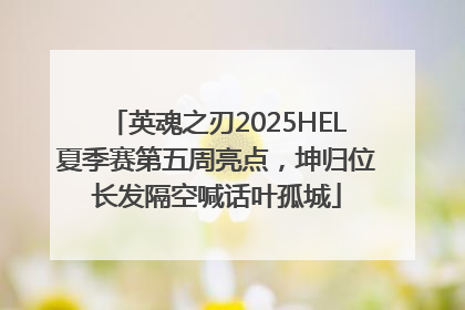 英魂之刃2025HEL夏季赛第五周亮点，坤归位长发隔空喊话叶孤城